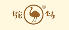 鴕鳥怎么樣