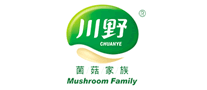 川野怎么樣